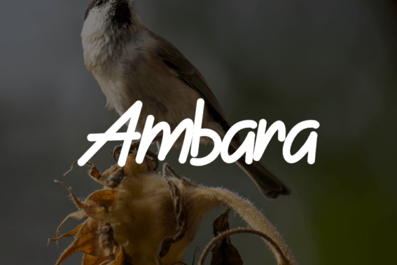 Ambara Typeface: The Secret to Polished Brand Visuals