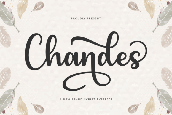 Chandes Typeface Review: Elevating Campaign Visuals with Bold Script
