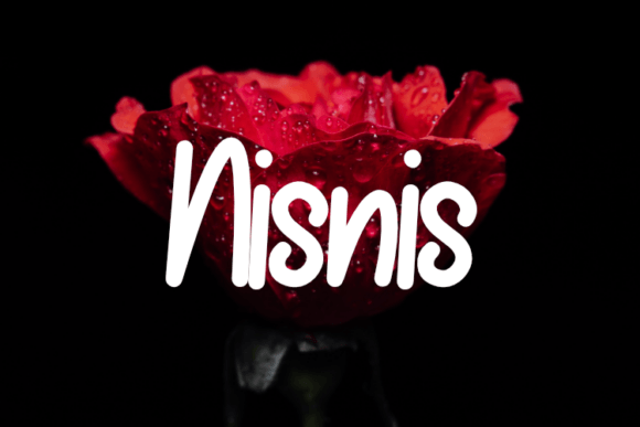 Nisnis: A Modern Script Font for Editorial Design and Branding