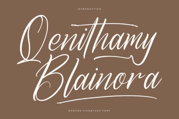 Qenithamy Blainora: Elevating Digital Brand Identity with Elegant Script Typography