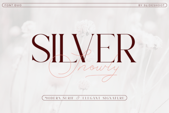 Silver Snowly: A Duo Serif Font for Elegant Web Design