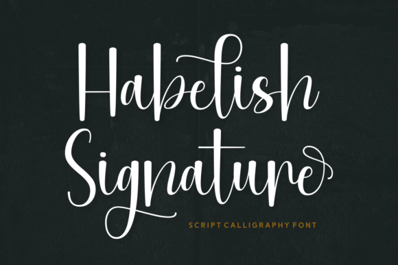 Why Habelish Signature Is the Script Font Your Brand Needs